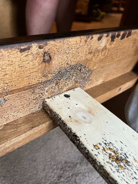 Termite Control